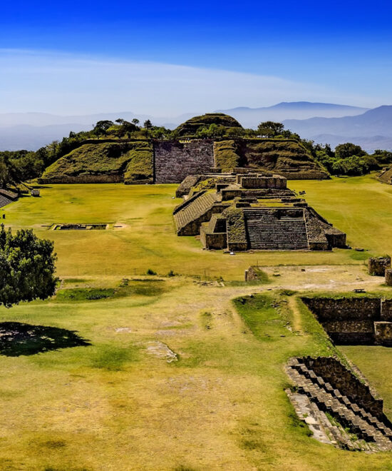 MAHC Wiki 正式上线中文版本