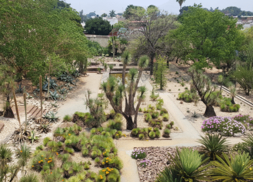 Oaxaca Ethnobotanical Garden Visitor Guide 2025: Hours, Tickets, Photography and FAQs