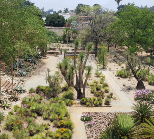 Oaxaca Ethnobotanical Garden Visitor Guide 2025: Hours, Tickets, Photography and FAQs
