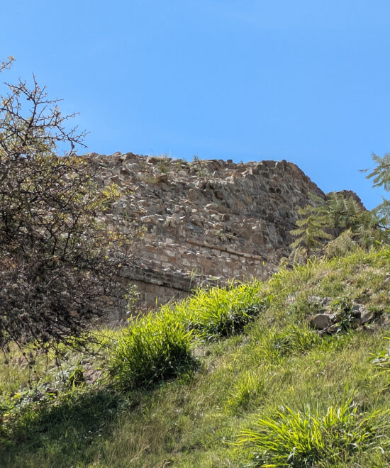 Building VG Enjoyado - Monte Alban Oaxaca