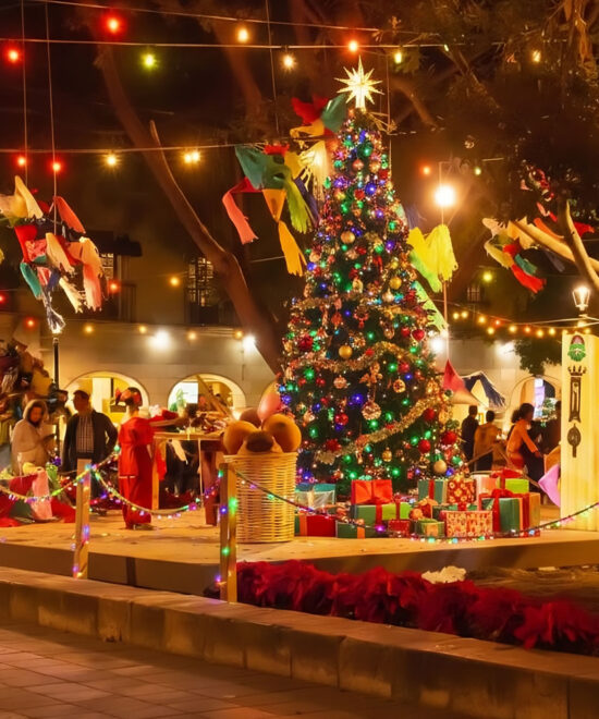 圣诞节期间造访瓦哈卡的十大理由