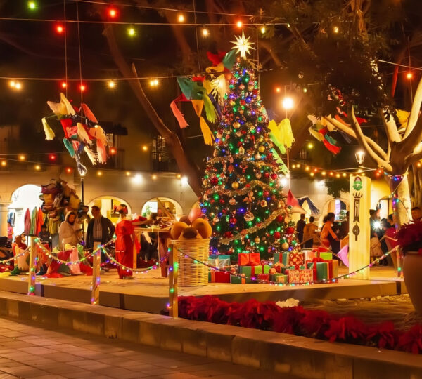 10 raisons pour lesquelles Oaxaca est une destination exceptionnelle à Noël