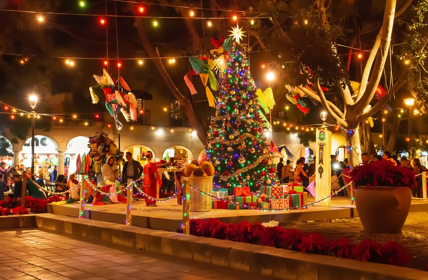 瓦哈卡宪法广场圣诞期间的节日灯饰与人潮，四周点缀着一品红和装饰。