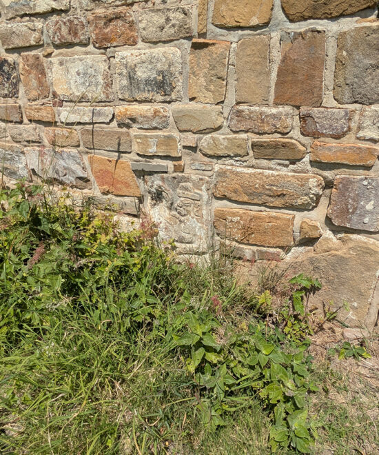 South Platform - Monte Alban Oaxaca
