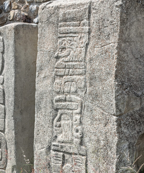 Stelae 12 and 13 - Monte Alban Oaxaca