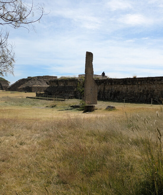 Stelae 18 - Monte Alban Oaxaca