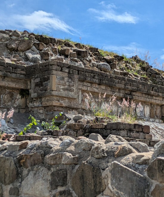 System M - Monte Alban Oaxaca