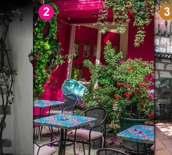 The 3 best Bed and Breakfasts in Oaxaca (in my personal opinion)