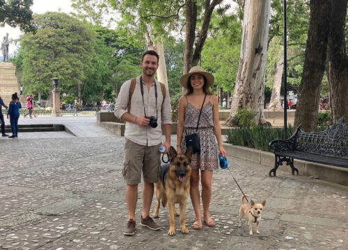 Hoteles y alojamientos que aceptan mascotas en Oaxaca