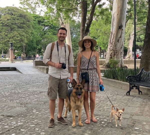 Pet-Friendly Hotels and Accommodations Here in Oaxaca