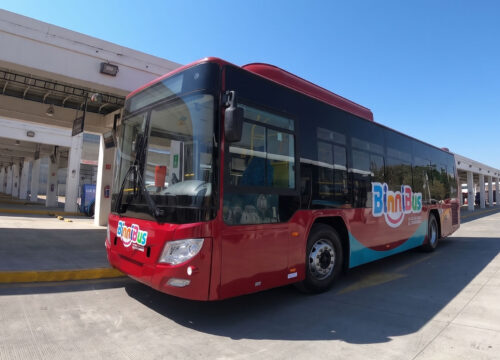 BinniBus/Citybus: cómo usar las rutas oficiales (paradas, horarios, ‘plan B’ si va lleno)