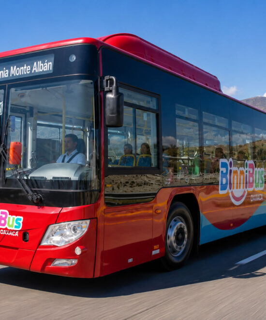 RA-17 “Bakku Nunni”: Using the 8-Peso Citybus Route Specifically for Monte Albán