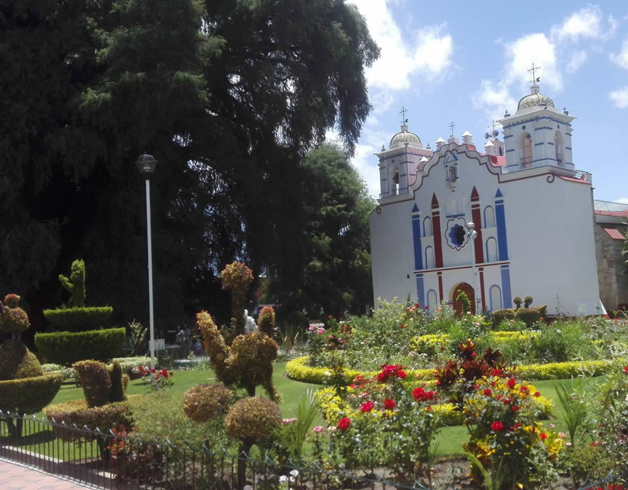 El enorme y antiguo Árbol del Tule en Santa María del Tule