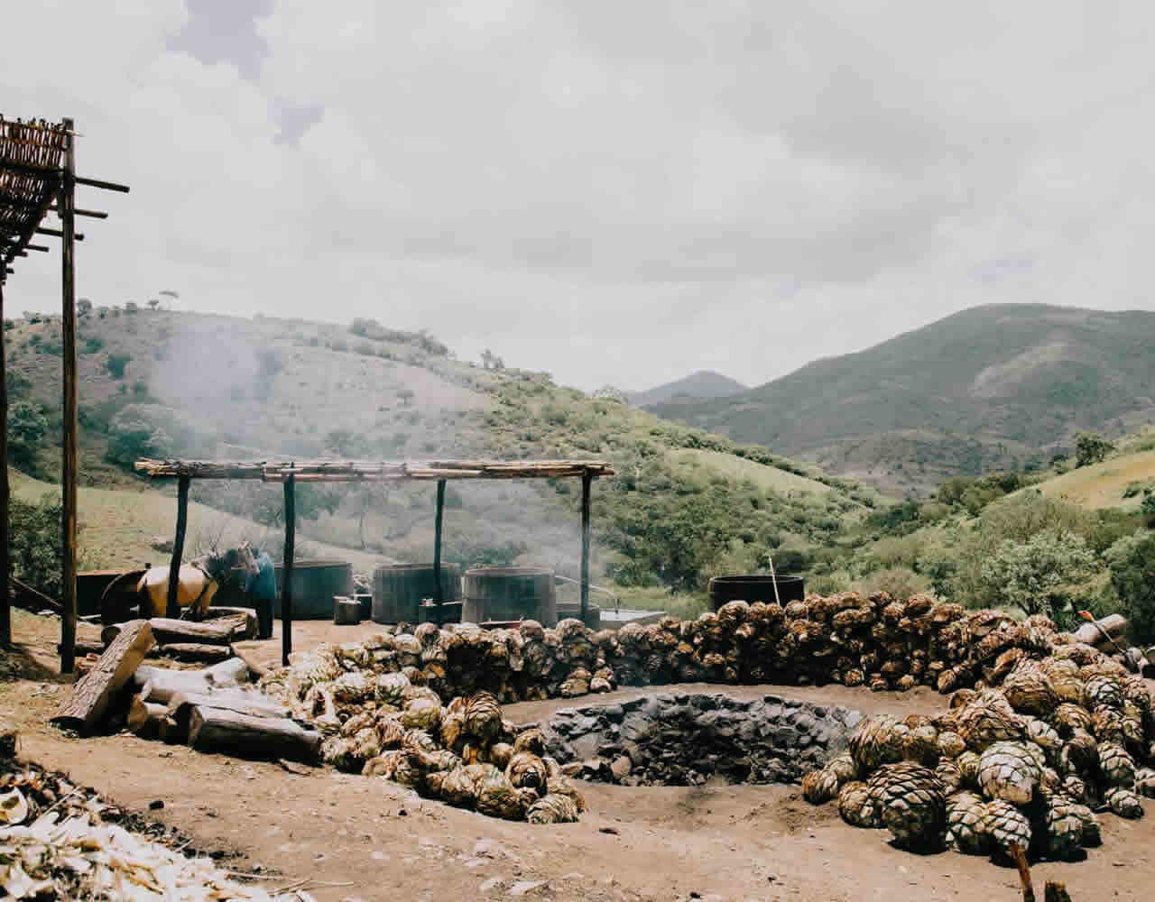 Degustación de mezcal en una destilería tradicional