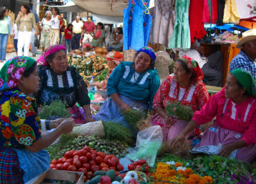 La lengua zapoteca: orígenes y qué la hace diferente