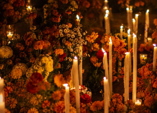 Cempasúchil : la légende et la signification du souci mexicain pour le Día de Muertos