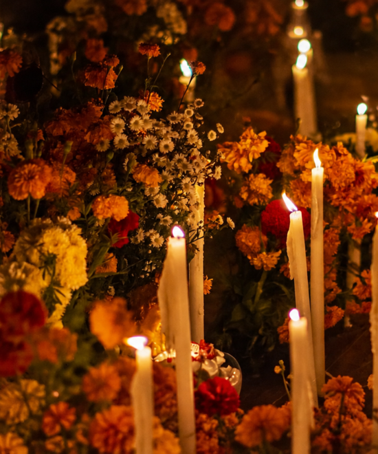 Cempasúchil : la légende et la signification du souci mexicain pour le Día de Muertos