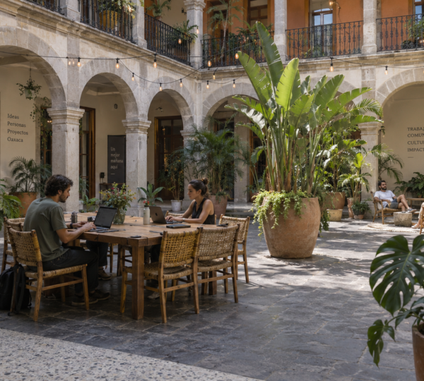 Digital Nomads in Oaxaca: what you need to know and is it a viable option